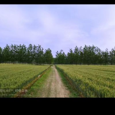 油漆工