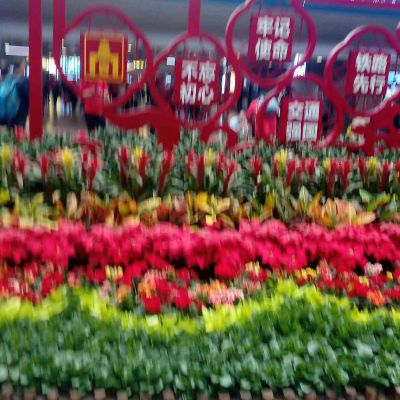 专业