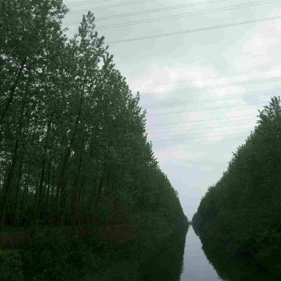 木艺订制工厂