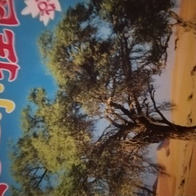 打字