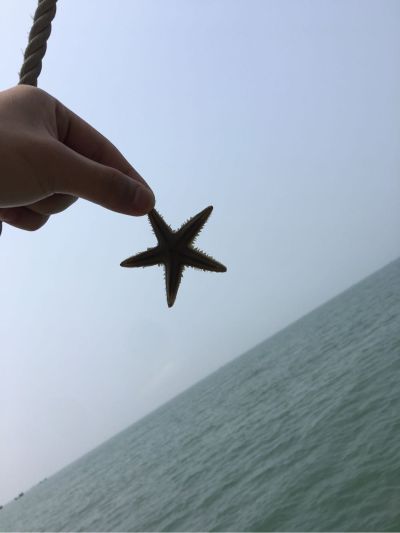 制图