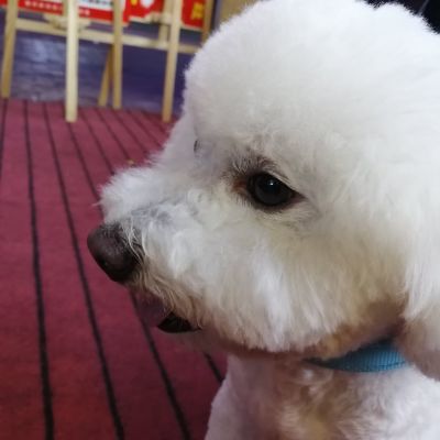 家具灯具安装家具床桌子各类灯具安装电脑维修