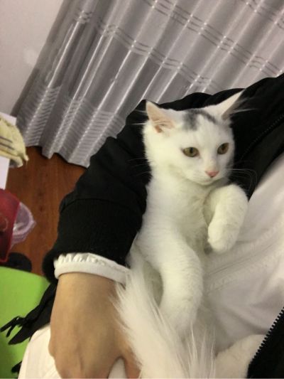 银行