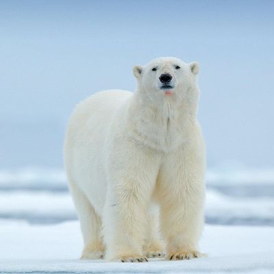 实木家具维修皮沙发修复大理石瓷砖