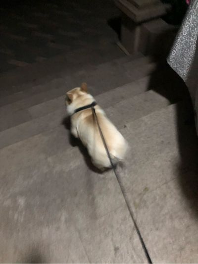 窗帘