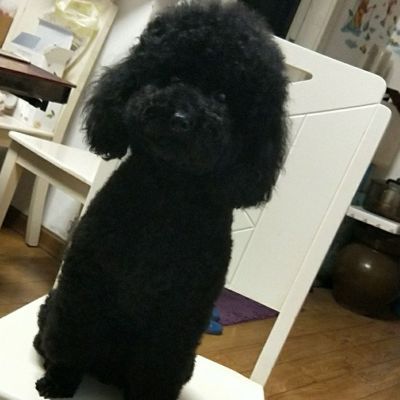 装潢装修装修装潢