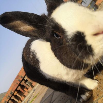 灯具安装维修机房安防弱电水电综合布线报警门锁门禁