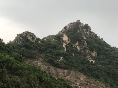建材绿化路桥