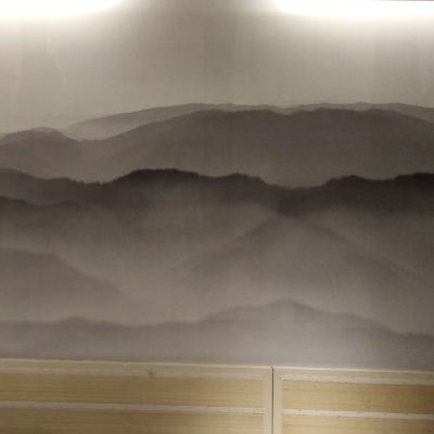 专业施工墙纸
