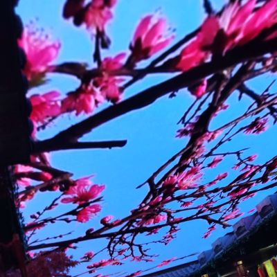 装修