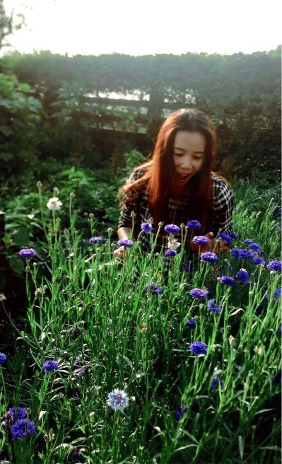 服装制作行业服装行业业务