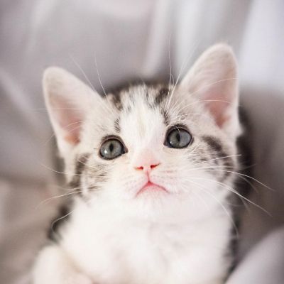 水电技师专业水电安装