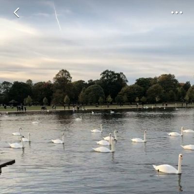 只要怒力就有成功