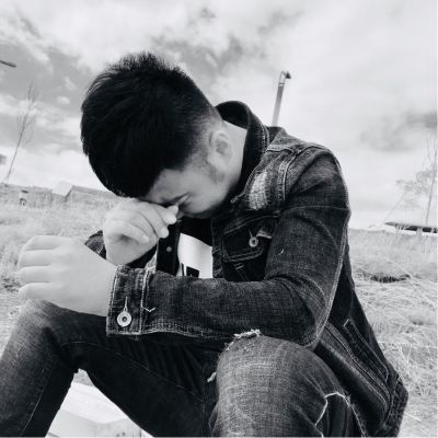 墙纸墙布壁画