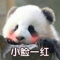 电脑维修电脑监控网络