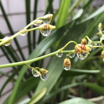 心理感情师