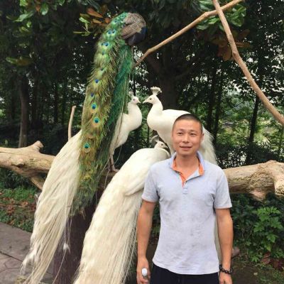 专业中央空调安装维修保养