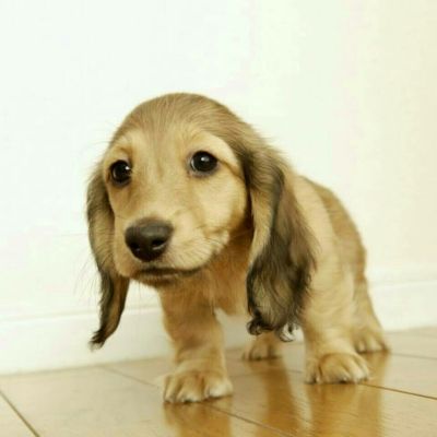 防水安装拆卸空调用车服务