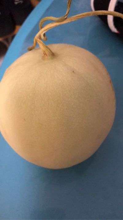 木工家装