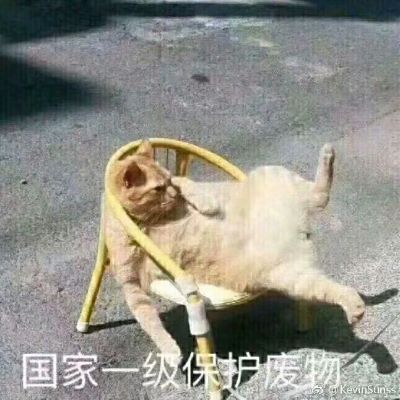 电气
