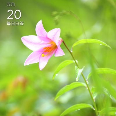 无服务玻璃安装