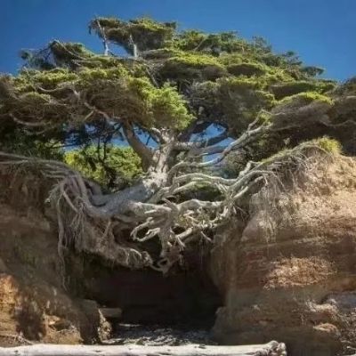 装饰装修装饰装修