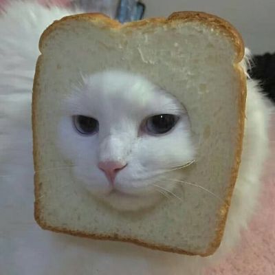 软件工程