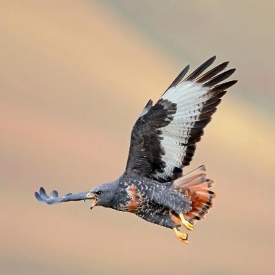 水电卫浴安装专业水电安装