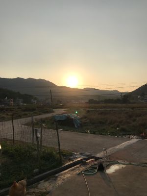 网络电脑维修