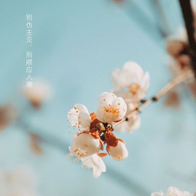 扇灰