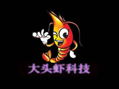 大头虾科技大头虾科技电脑上门维修手机维修