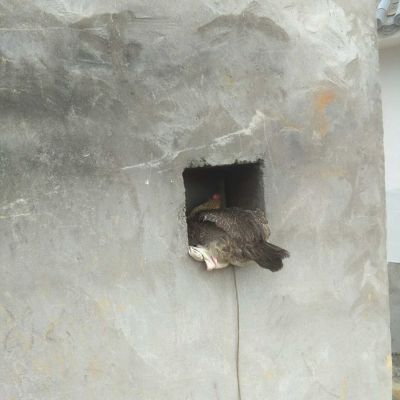 衣柜木门安装