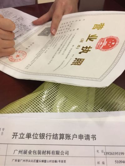 无纺布手袋
