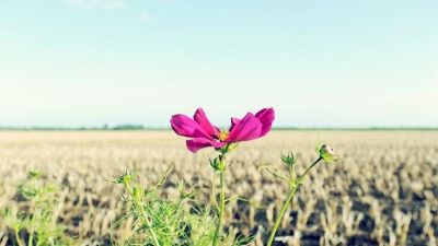 热水器打不着火