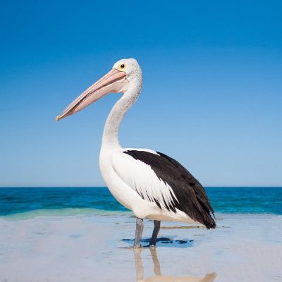 上下水暖气
