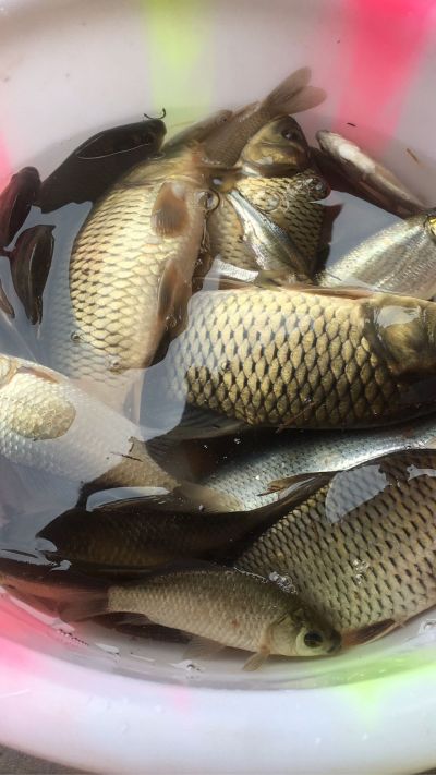 空调移机改装水电