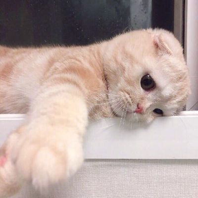 电维修安装