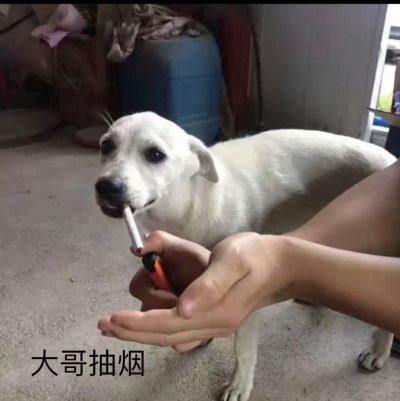 钢丝绳编套批发吊装带天车钩子电动葫芦