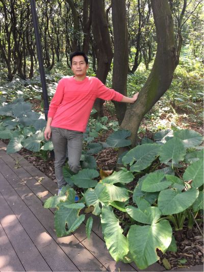 专业订制安装