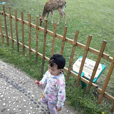 家电维修安装
