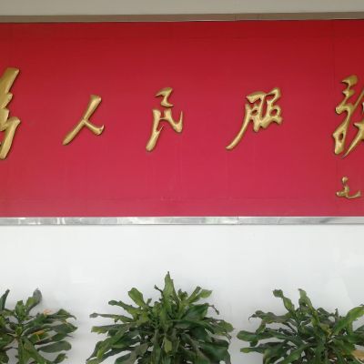 电子