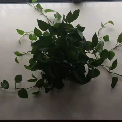 设备机电一体水电维修电气机械安装