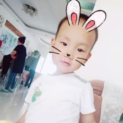 货运家具板材