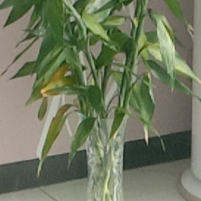 粉刷卫浴安装家装水电美缝