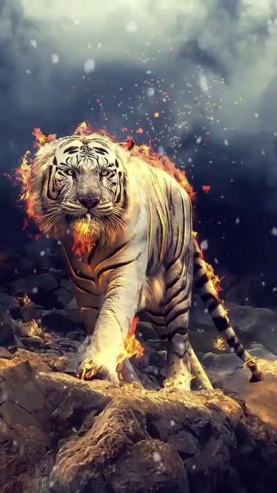 家具安装维修家具安装维修