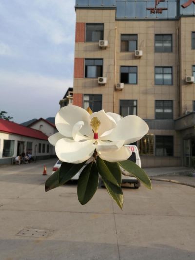 家具彩钢