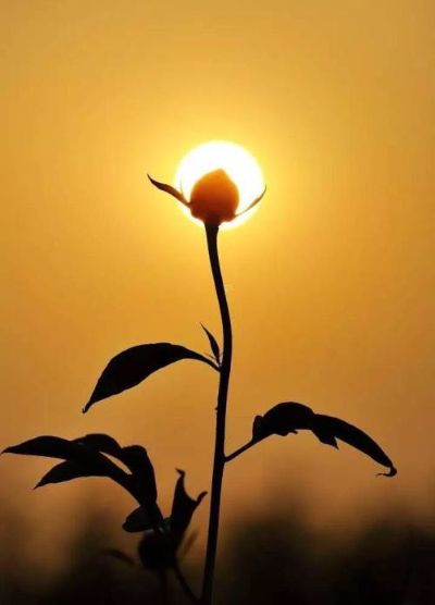 专业承接各类互联网灯具安装维修清洁业务