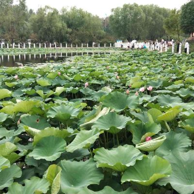 木地板安装
