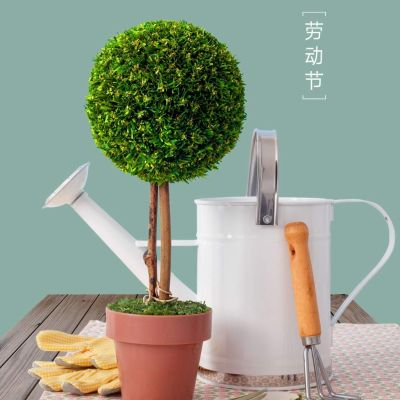 木工水电吊顶