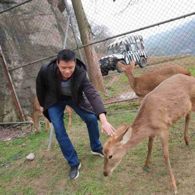 搬运空调拆装专业搬迁